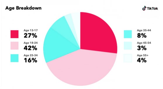 Pie Chart Of Age Group Using TikTok