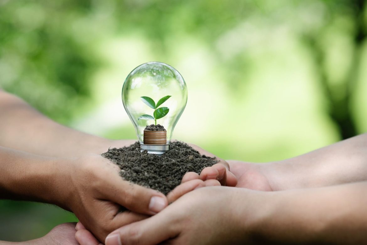 What is the social responsibility of an entrepreneur