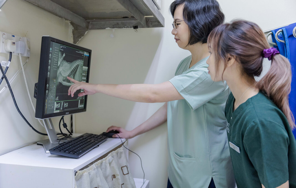 Veterinarians reviewing a pet's X-ray on a monitor.